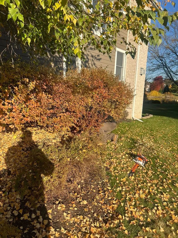 Local lawn care service near you in Waukesha, WI by Twins Landscaping