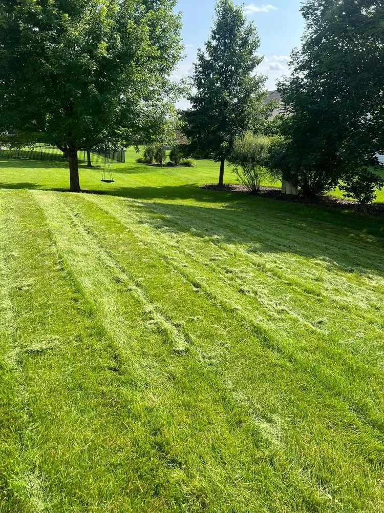 Expert lawn care service in Waukesha, WI - Twins Landscaping