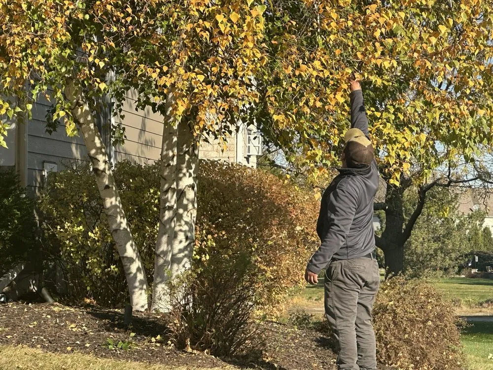 Custom landscaping services for year-round maintenance across Waukesha, WI - Twins Landscaping