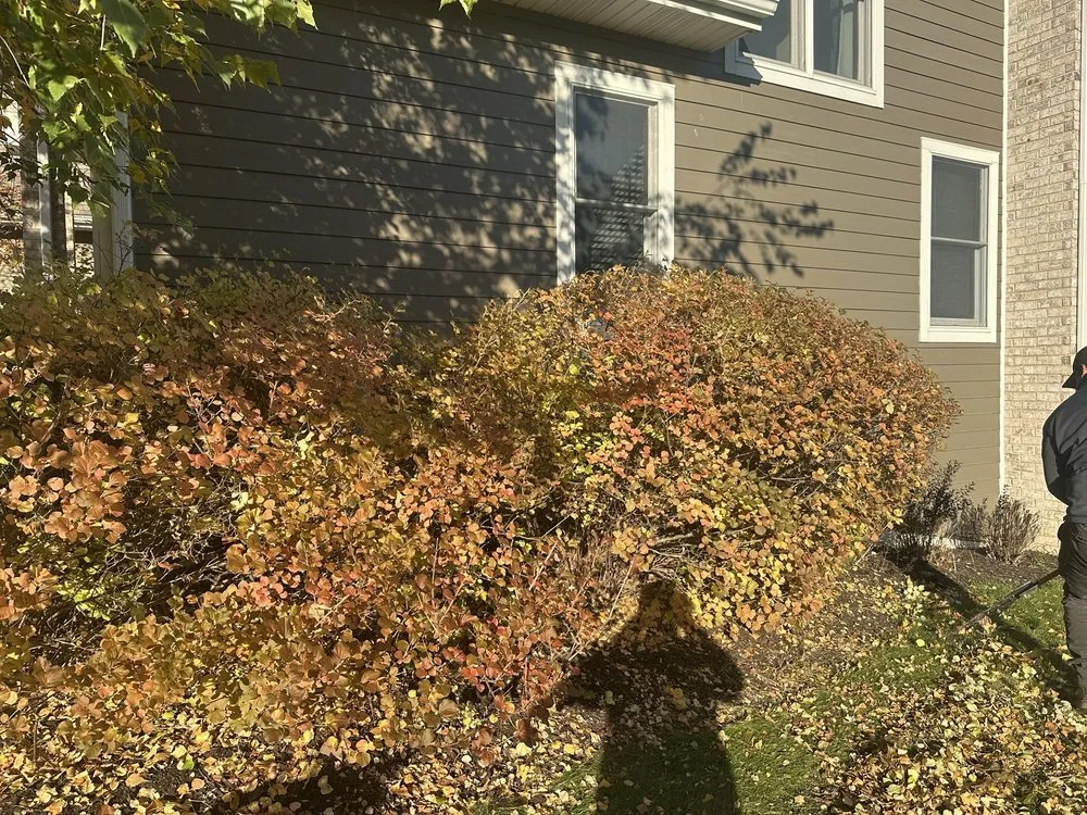 Expert yard maintenance in Waukesha, WI - Twins Landscaping