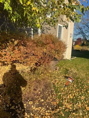 Twins Landscaping Logo