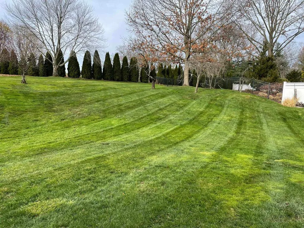 Top-rated garden landscaping experts serving Hamden, CT - Twins Lawn Care