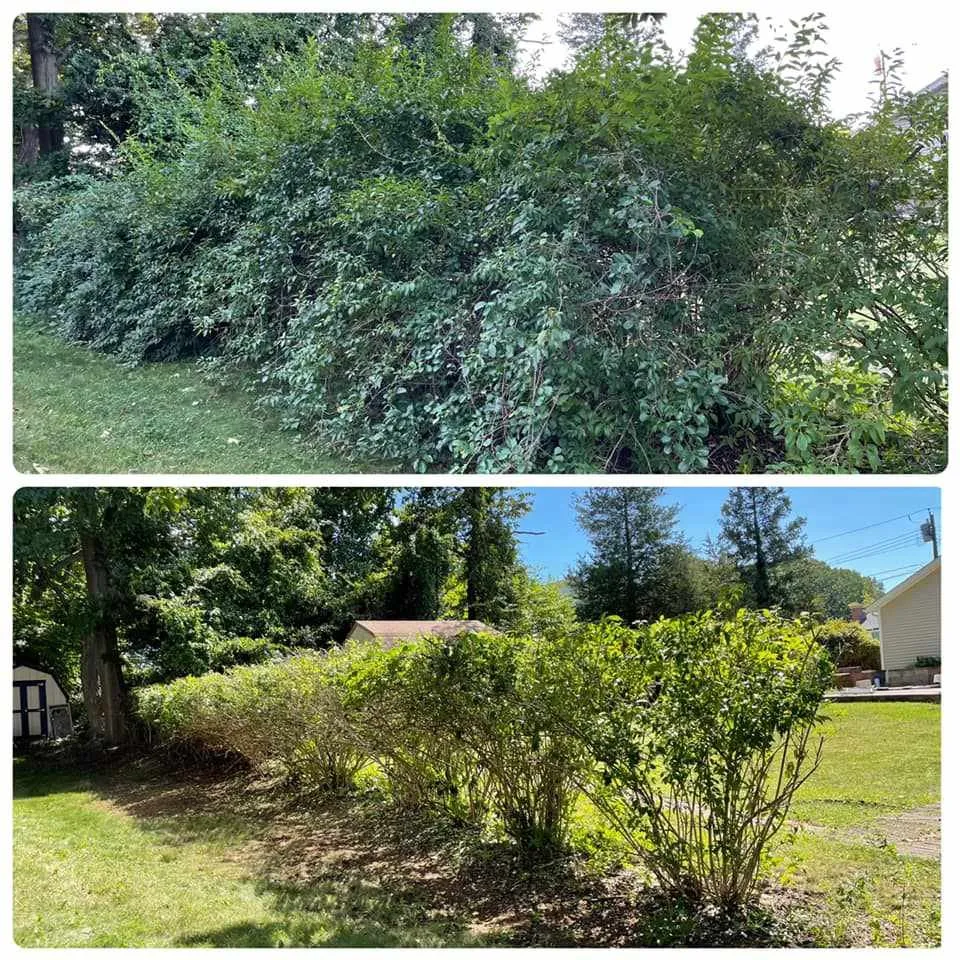 Affordable landscaping services experts serving Hamden, CT - Twins Lawn Care