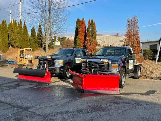 Twins Lawn Care Logo