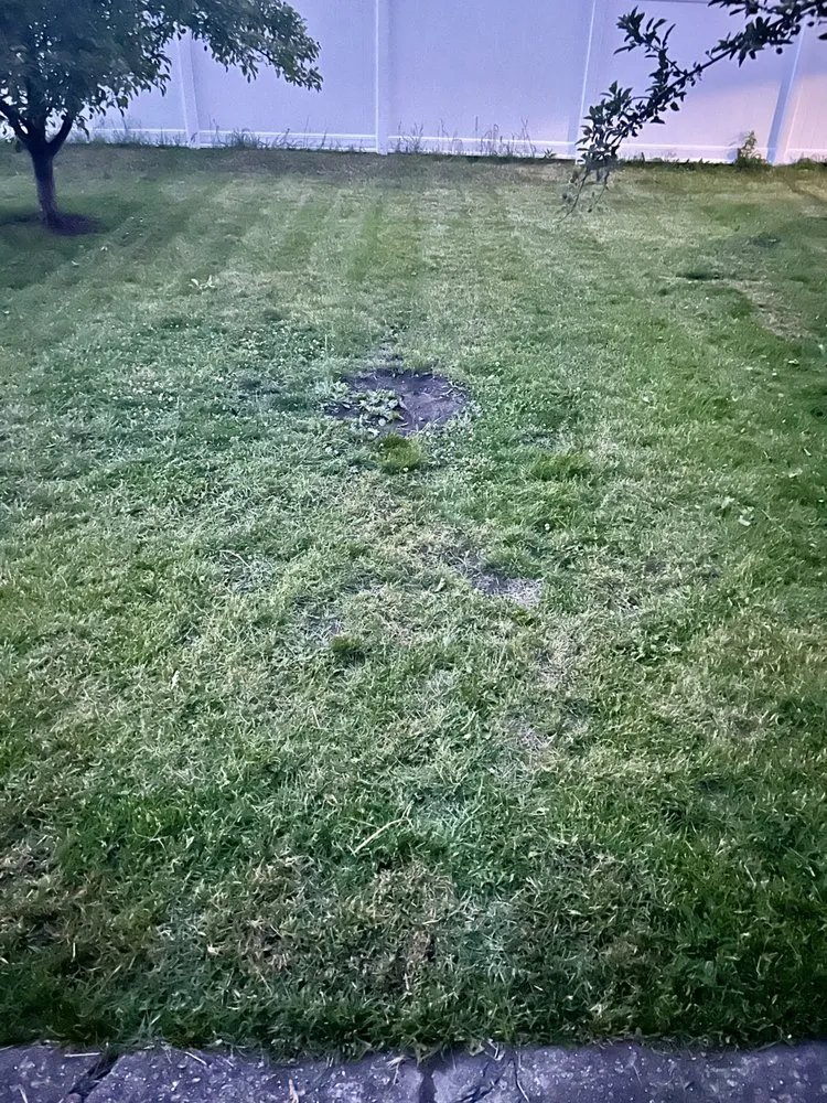 Local landscape design in Des Plaines, IL by Twins Lawn Mowing