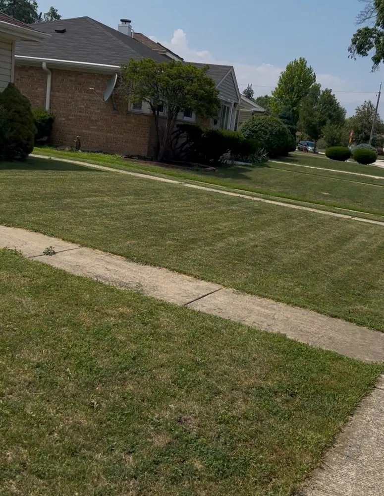 Expert residential landscaping experts serving Des Plaines, IL - Twins Lawn Mowing