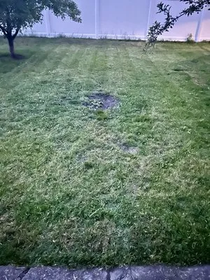 Twins Lawn Mowing Logo