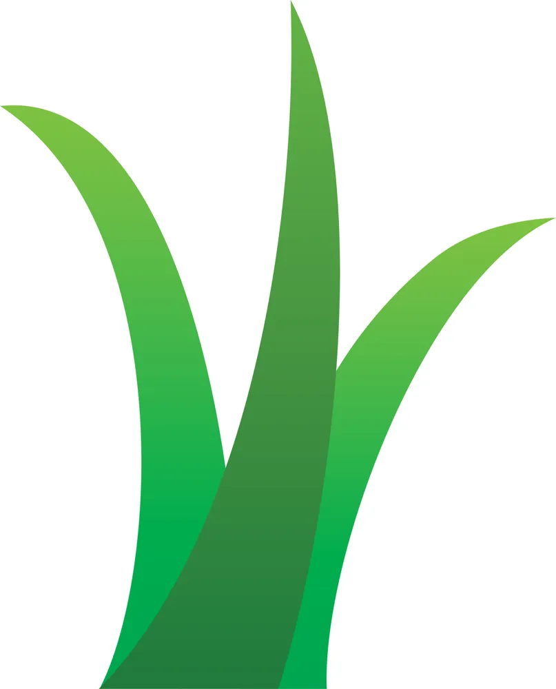 Local residential landscaping in Sterling, MA - Twins Lawn Service