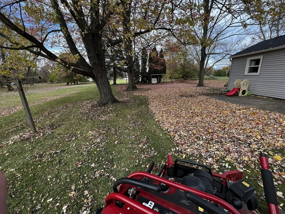 Trusted yard cleanup service in Lyndonville, NY by Twinscapes