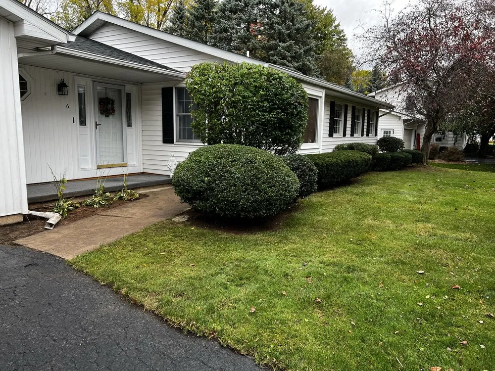 Top-rated lawn care service experts serving Lyndonville, NY - Twinscapes