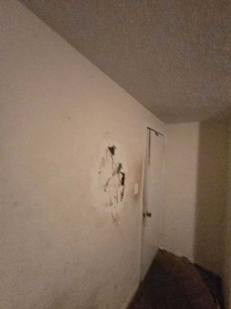 Top-rated lawn mowing service in Lexington, SC - Twinz Home Care Repair