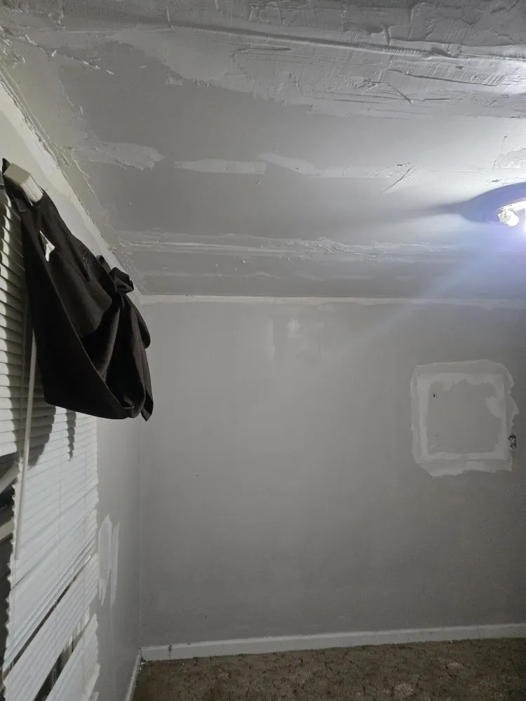 Reliable lawn mowing service in Lexington, SC - Twinz Home Care Repair