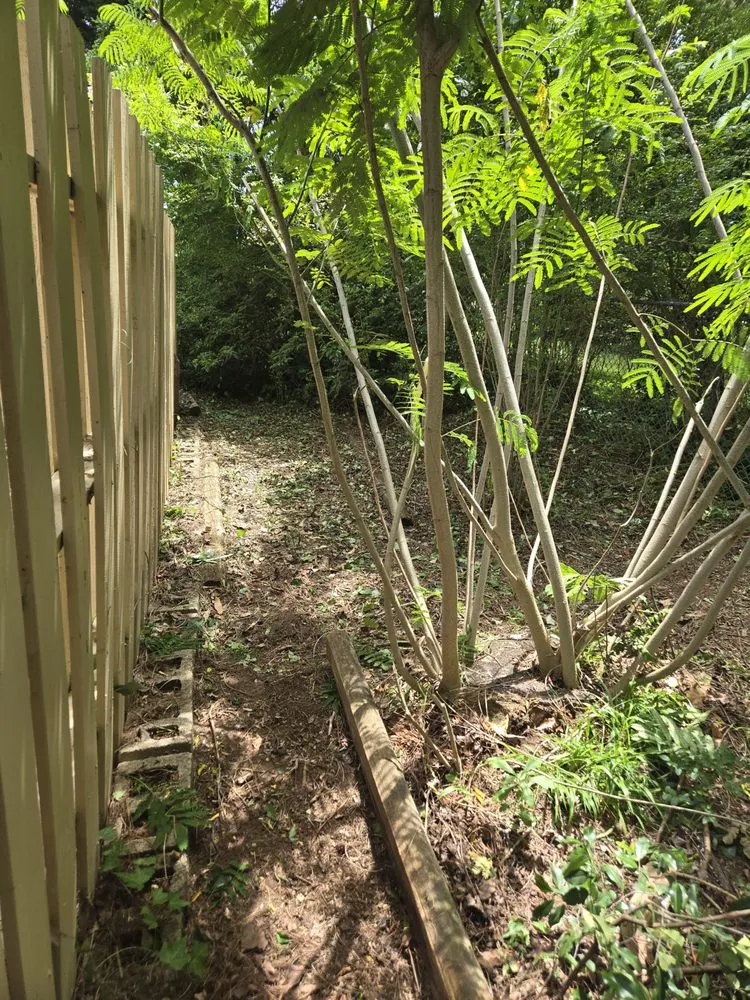 Expert landscape installation for homes across Lexington, SC - Twinz Home Care Repair