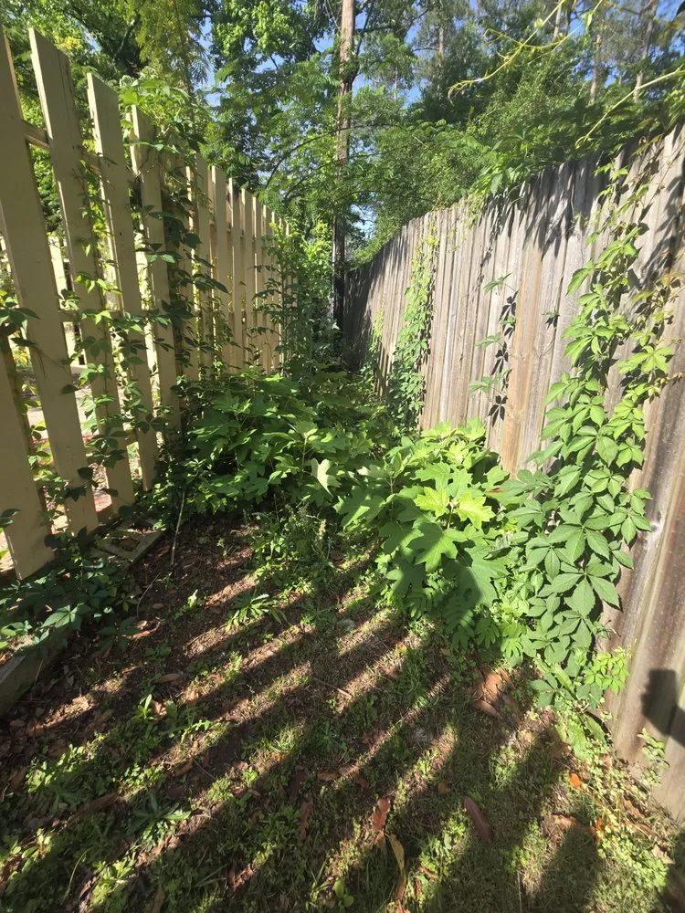 Affordable landscape design experts serving Lexington, SC - Twinz Home Care Repair