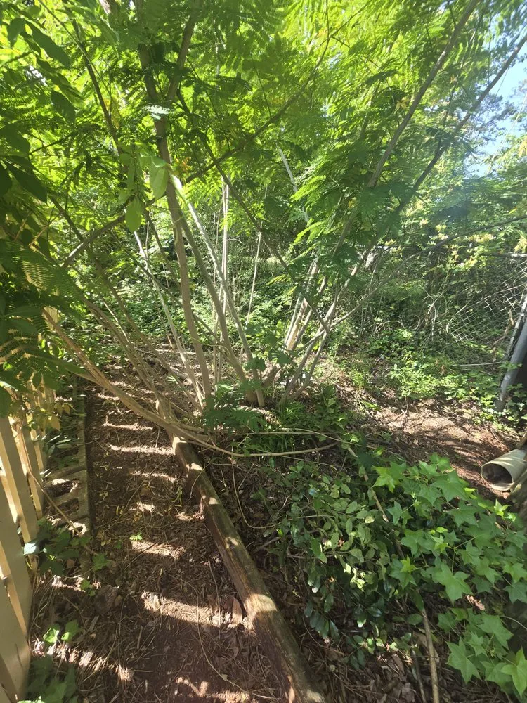 Expert outdoor landscaping in Lexington, SC - Twinz Home Care Repair