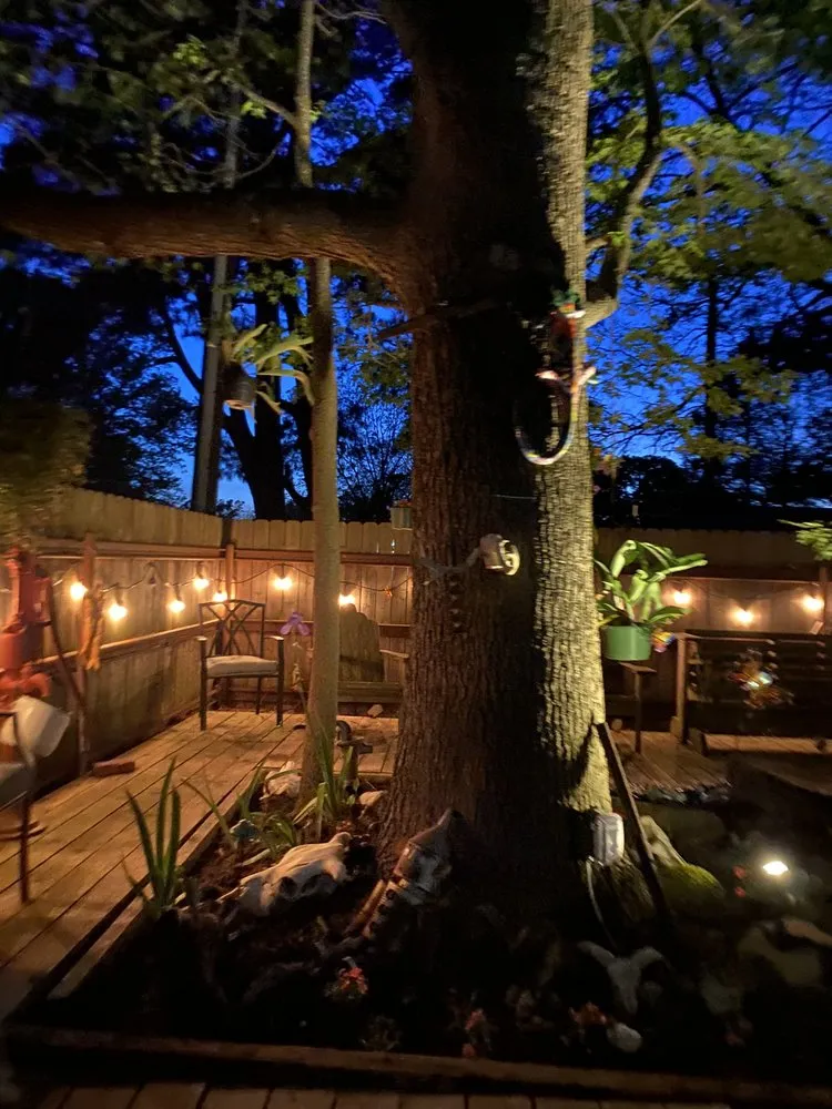 Affordable yard cleanup service in Bogata, TX - Twisted Crow