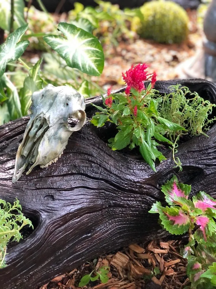 Professional lawn care service for beautiful yards in Bogata, TX by Twisted Crow