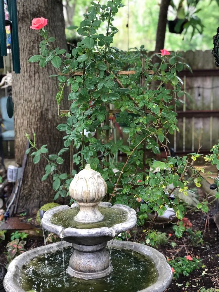 Professional landscape installation in Bogata, TX - Twisted Crow