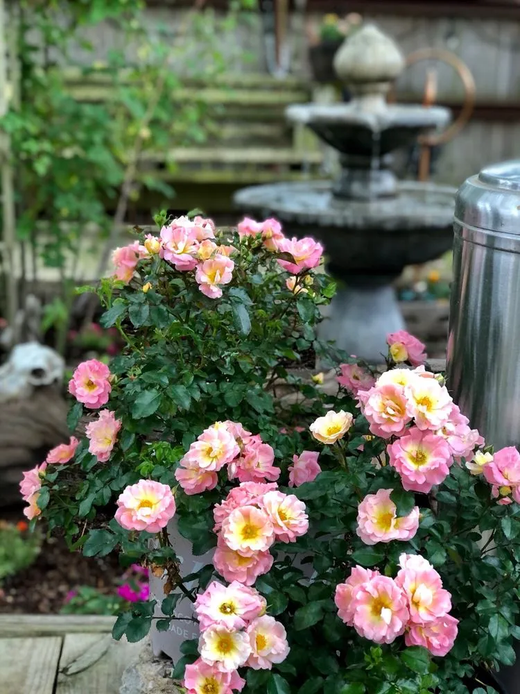 Reliable outdoor landscaping in Bogata, TX - Twisted Crow