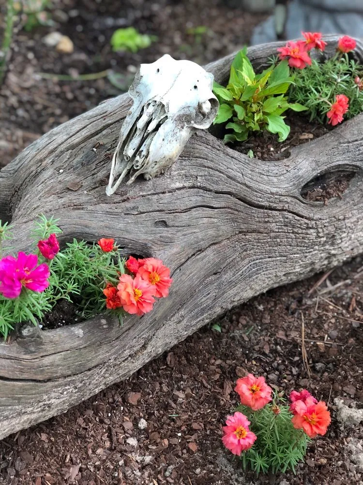 Professional lawn mowing service experts serving Bogata, TX - Twisted Crow