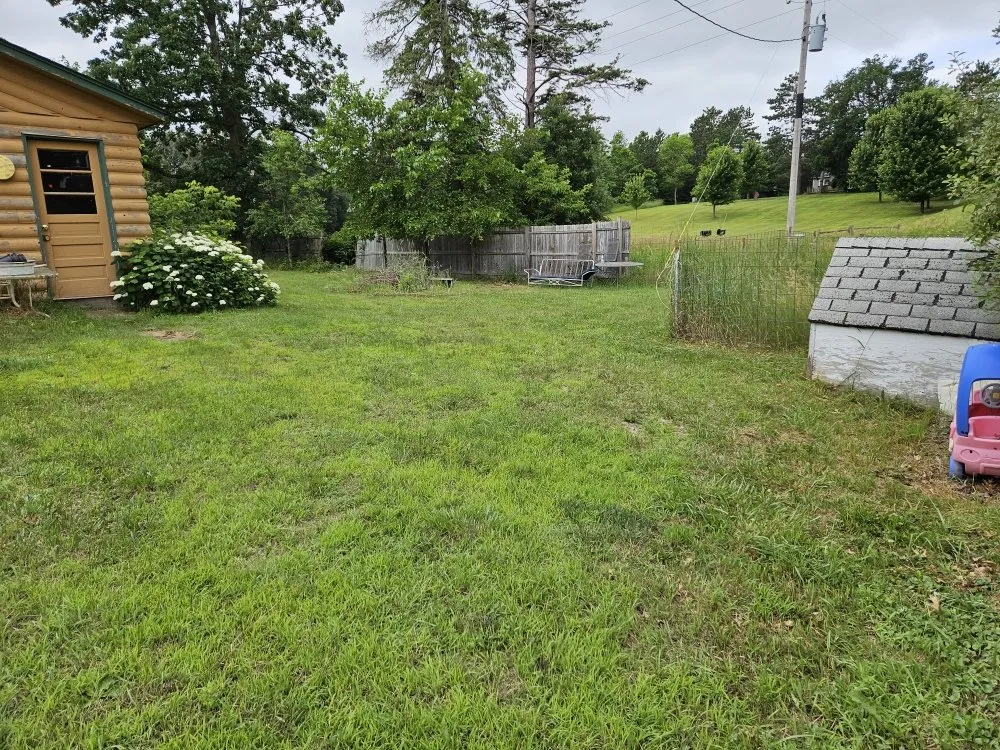 Trusted yard cleanup service in St. Cloud, MN by Twisted Heaven Lawn Care