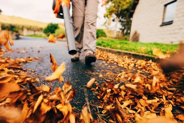 Affordable outdoor landscaping experts serving St. Cloud, MN - Twisted Heaven Lawn Care