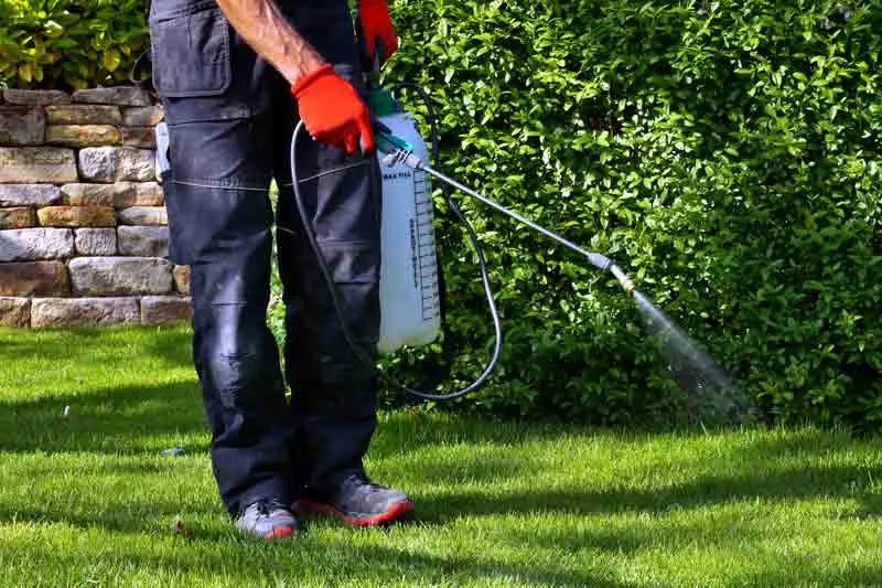 Affordable garden landscaping experts serving St. Cloud, MN - Twisted Heaven Lawn Care