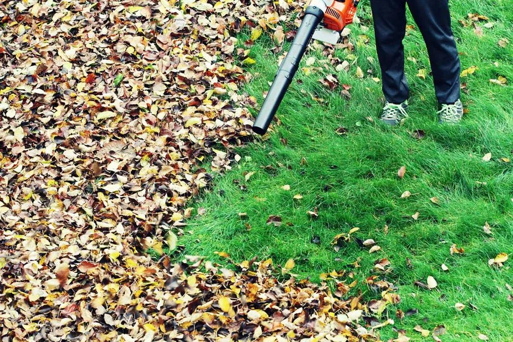 Local yard maintenance experts serving St. Cloud, MN - Twisted Heaven Lawn Care