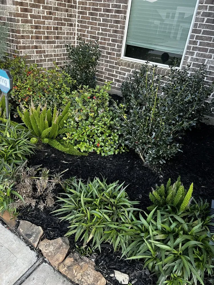 Trusted yard maintenance in Friendswood, TX by Twisted Landscaping