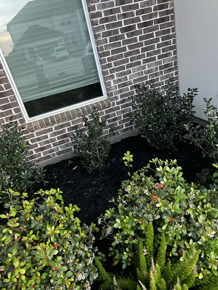 Top-rated landscape installation in Friendswood, TX by Twisted Landscaping