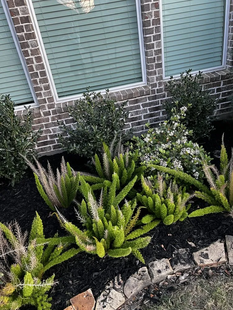 Trusted landscaping services for beautiful yards in Friendswood, TX by Twisted Landscaping