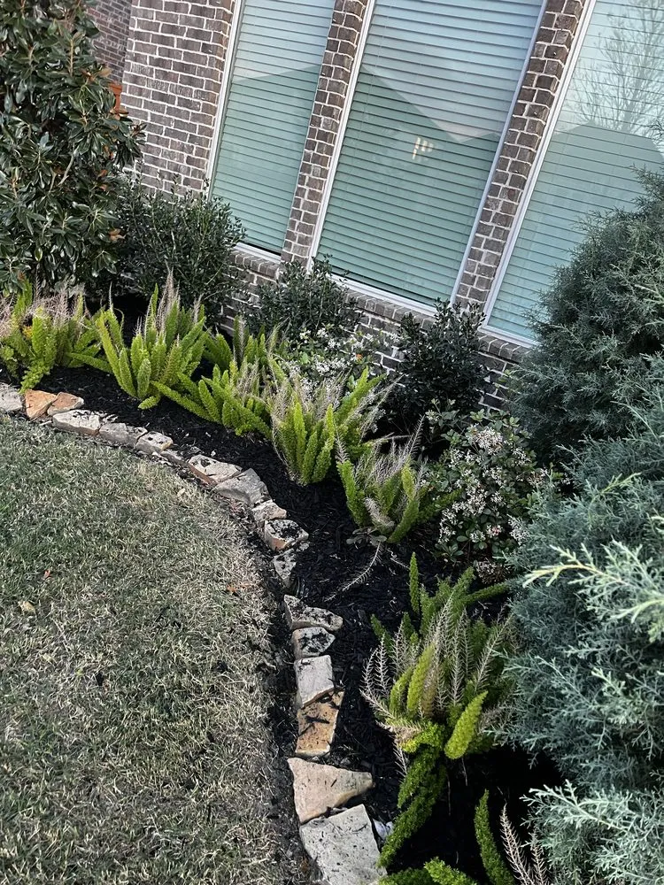 Local lawn care service for year-round maintenance in Friendswood, TX by Twisted Landscaping
