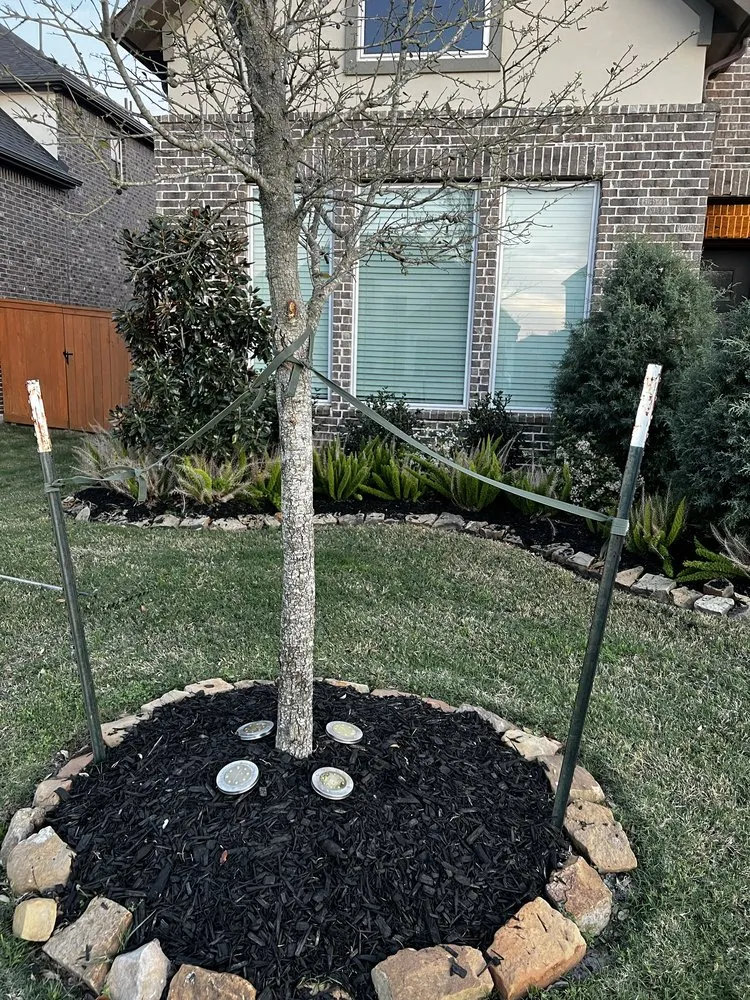 Reliable lawn care service in Friendswood, TX - Twisted Landscaping