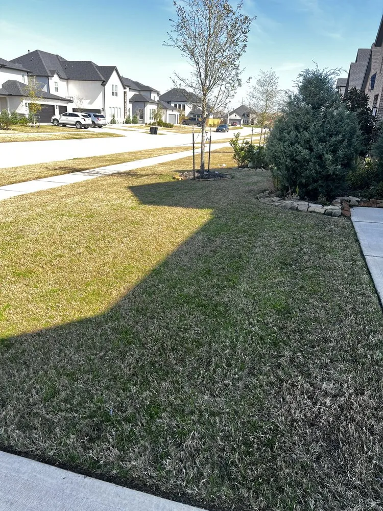 Top-rated yard maintenance experts serving Friendswood, TX - Twisted Landscaping