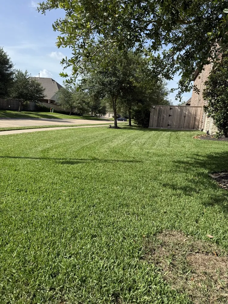 Affordable yard cleanup service near you across Friendswood, TX - Twisted Landscaping