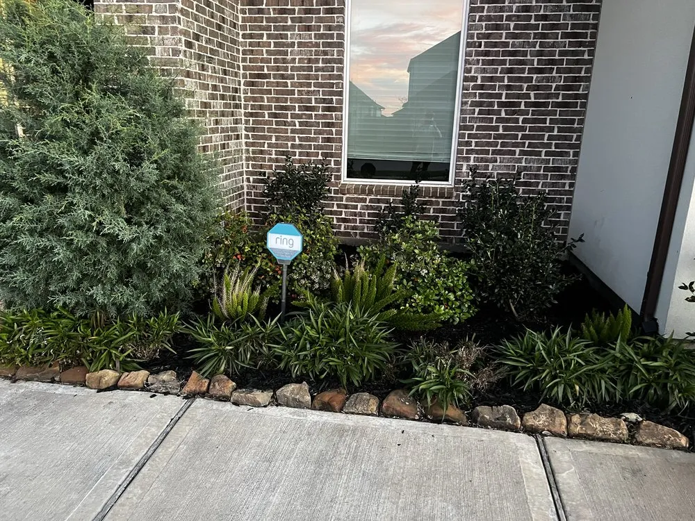 Trusted landscape installation for homes across Friendswood, TX - Twisted Landscaping