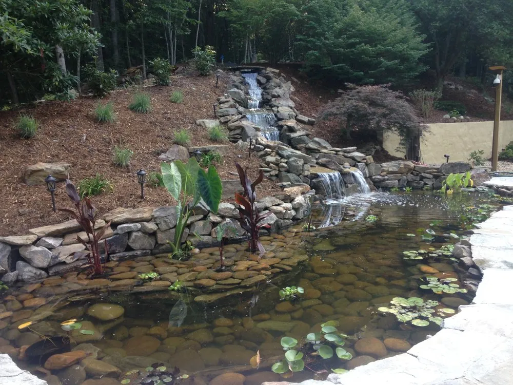Top-rated outdoor landscaping for year-round maintenance in Greenville, SC by Twisted Leaf Landscapes