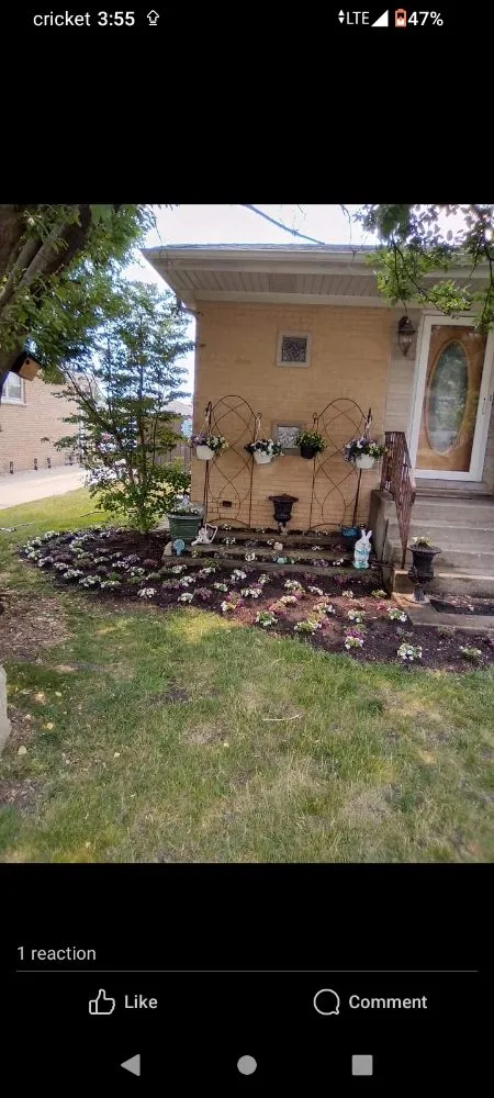 Affordable yard cleanup service in Melrose Park, IL by Twisted Method Gutter Cleaning