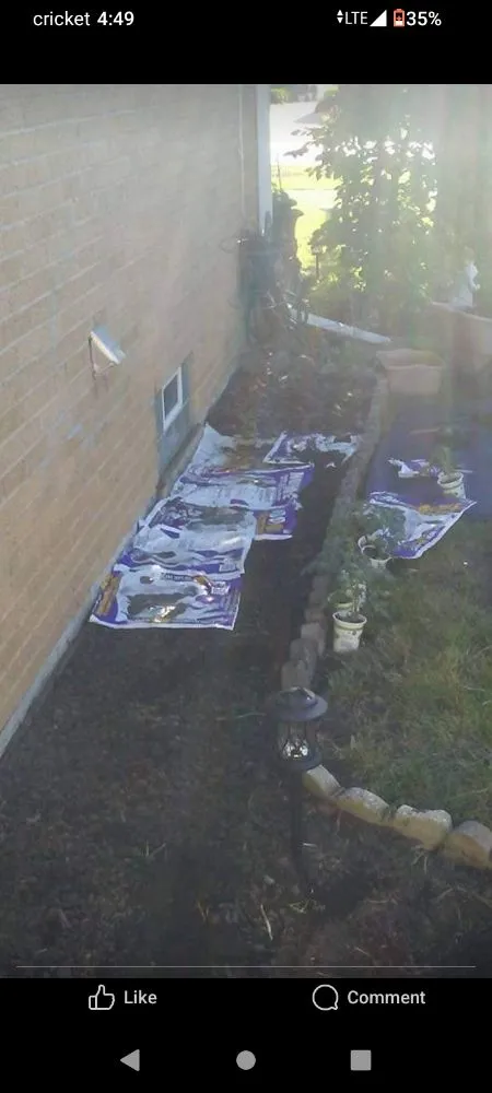 Custom landscaping services in Melrose Park, IL by Twisted Method Gutter Cleaning