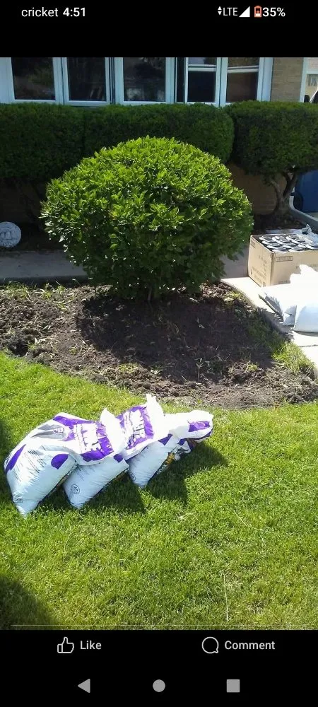 Custom outdoor landscaping near you in Melrose Park, IL by Twisted Method Gutter Cleaning