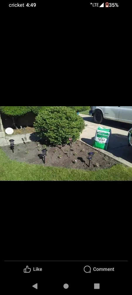 Reliable landscaping services in Melrose Park, IL by Twisted Method Gutter Cleaning