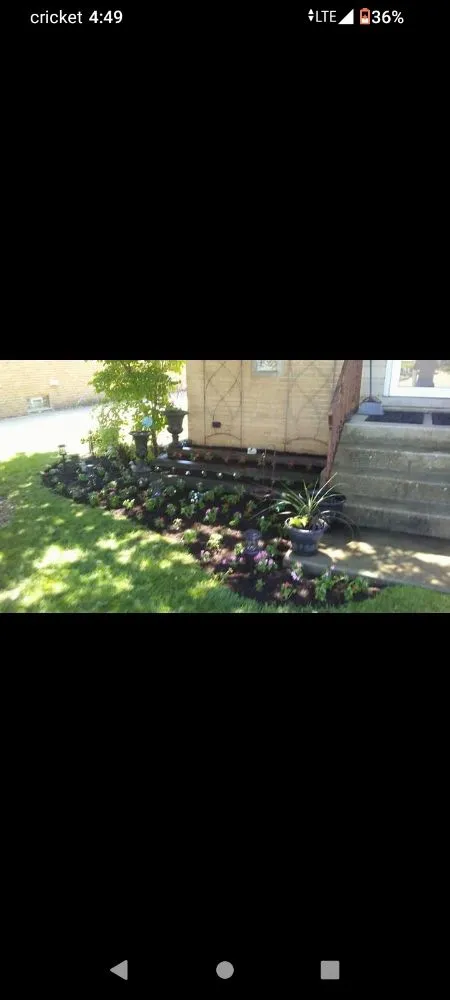 Reliable yard cleanup service for year-round maintenance across Melrose Park, IL - Twisted Method Gutter Cleaning