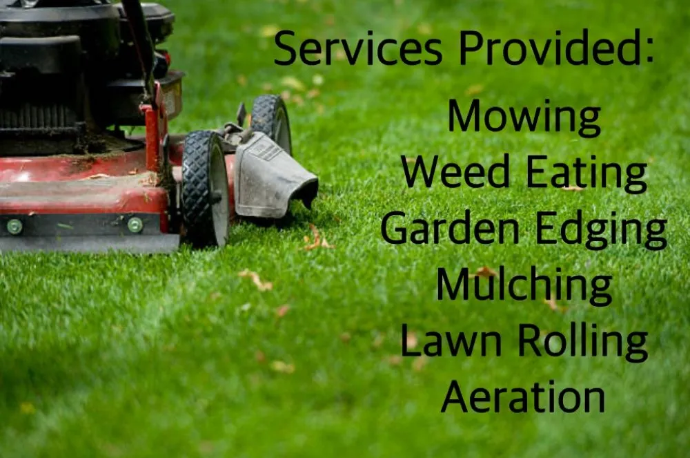 Professional yard maintenance in Romulus, NY - Twisted Mule Mowing