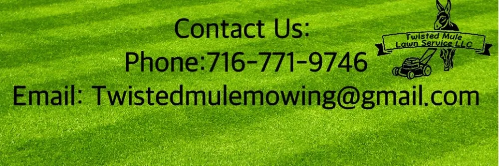 Top-rated outdoor landscaping for residential properties across Romulus, NY - Twisted Mule Mowing