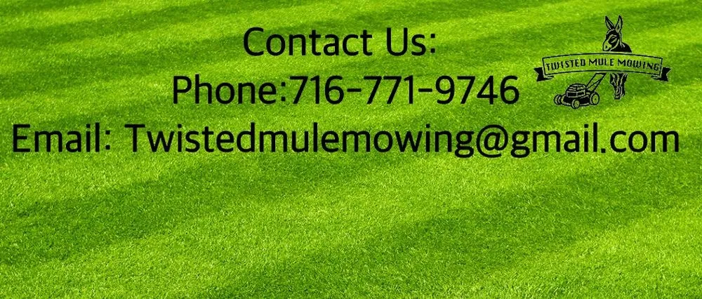 Custom yard cleanup service in Romulus, NY - Twisted Mule Mowing