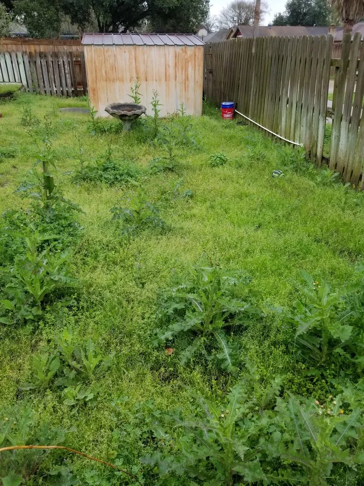 Expert landscape design in College Station, TX - Twisted Oak Landscaping