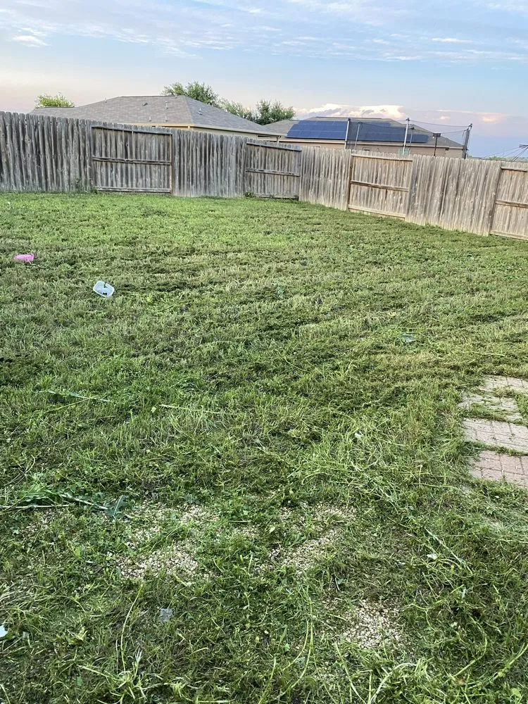 Top-rated landscape installation experts serving San Antonio, TX - Twisted oak lawn Care