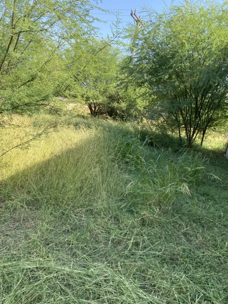 Trusted outdoor landscaping in San Antonio, TX - Twisted oak lawn Care