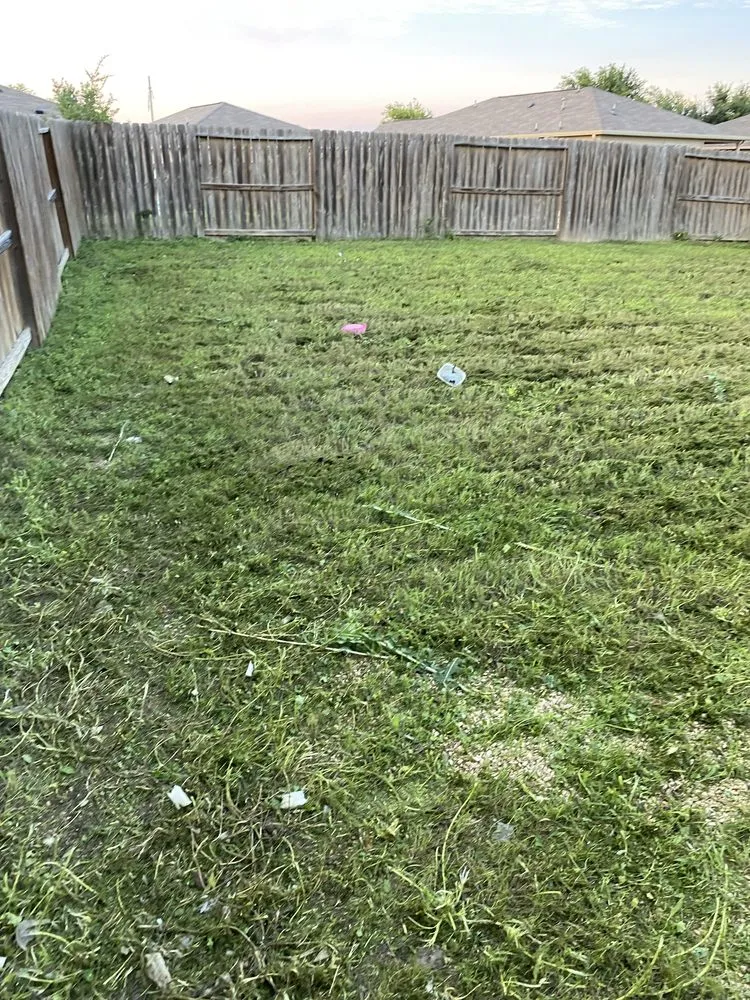 Custom outdoor landscaping in San Antonio, TX - Twisted oak lawn Care