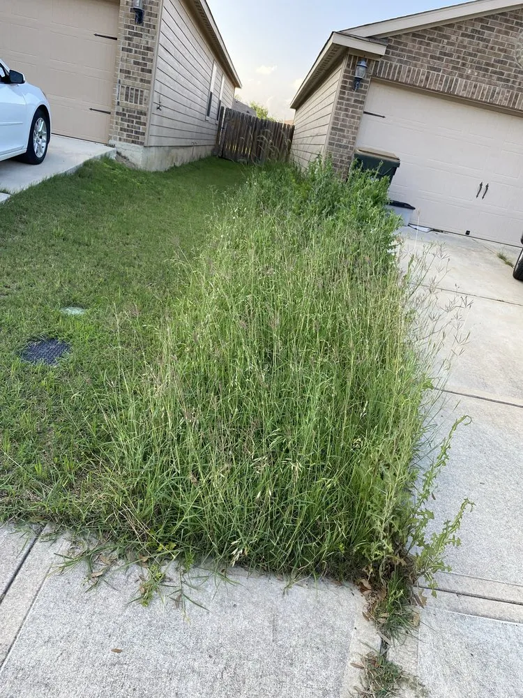 Professional landscape design for year-round maintenance in San Antonio, TX by Twisted oak lawn Care